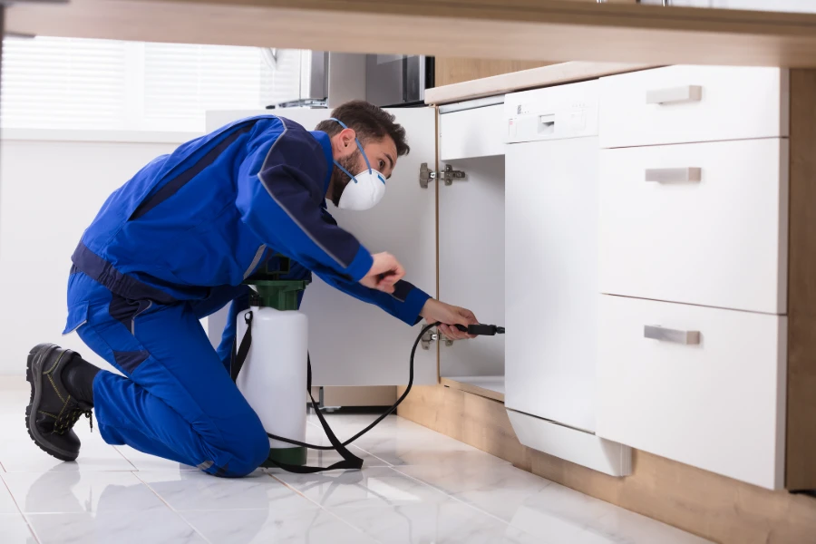 Trusted Pest Controller in Columbus, OH