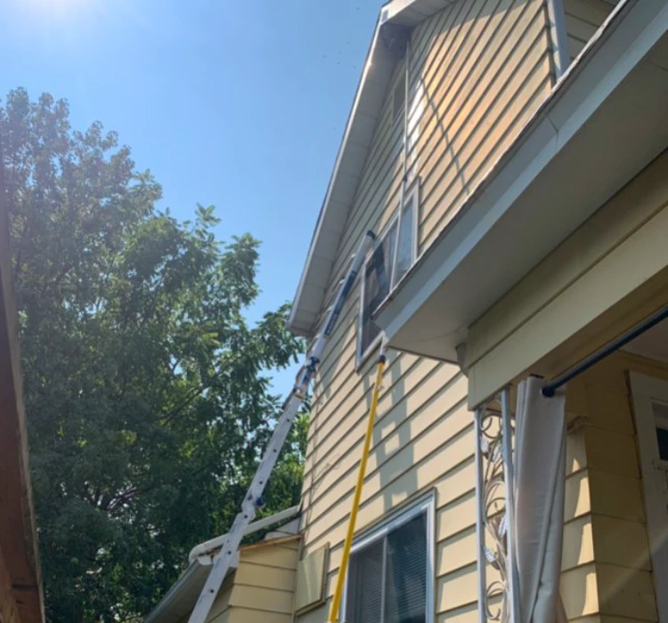Residential Pest Control