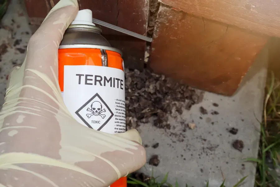 Common Myths About Termite Removal Debunked Columbus, OH Common Myths About Termite Removal Debunked Columbus, OH
