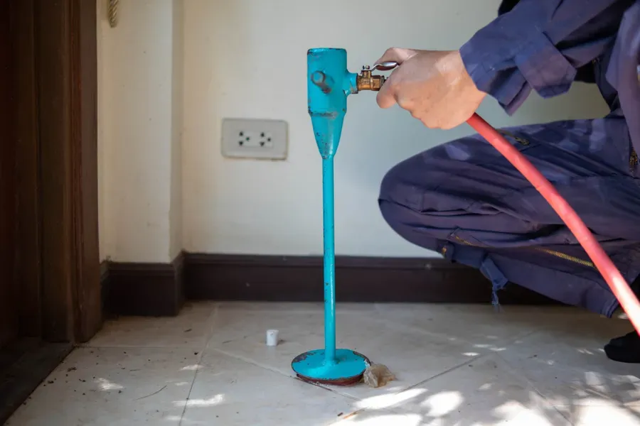 How Moisture Contributes To Termite Infestations Columbus, OH
