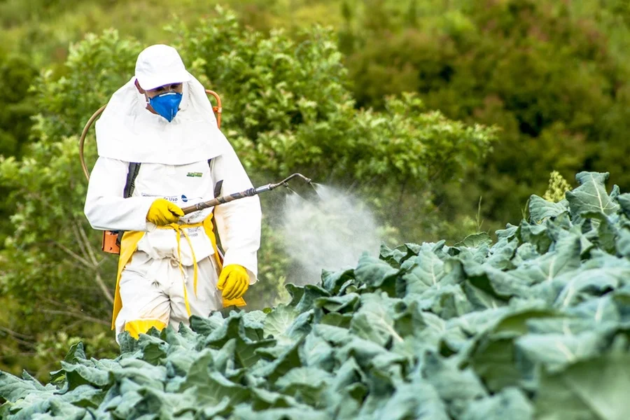 How Pest Control Services Handle Spider Infestations Columbus, OH