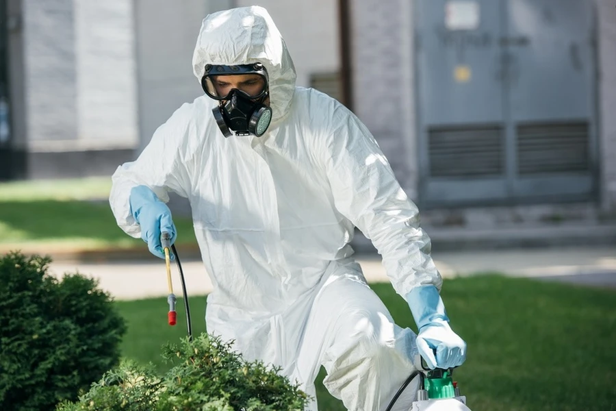 How Pest Control Services Handle Spider Infestations in Columbus, OH