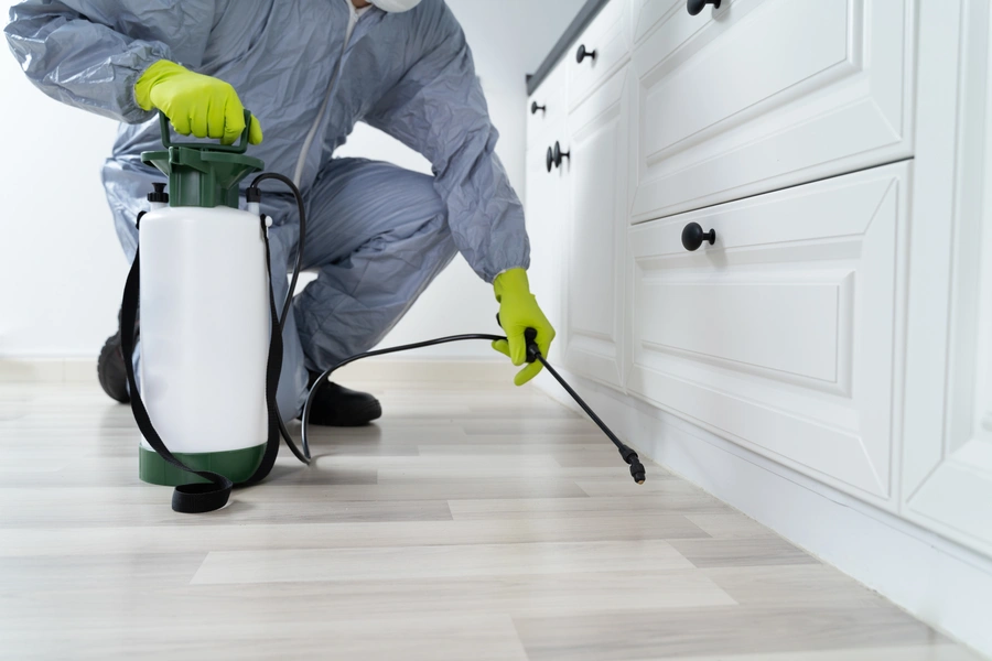 How Pest Inspections Prevent Long-term Home Damage in Columbus, OH How Pest Inspections Prevent Long-term Home Damage in Columbus, OH