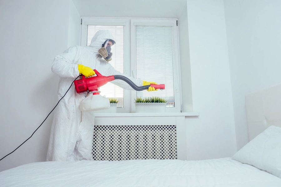 Signs Your Home Needs Immediate Bug Removal Columbus, OH Signs Your Home Needs Immediate Bug Removal Columbus, OH