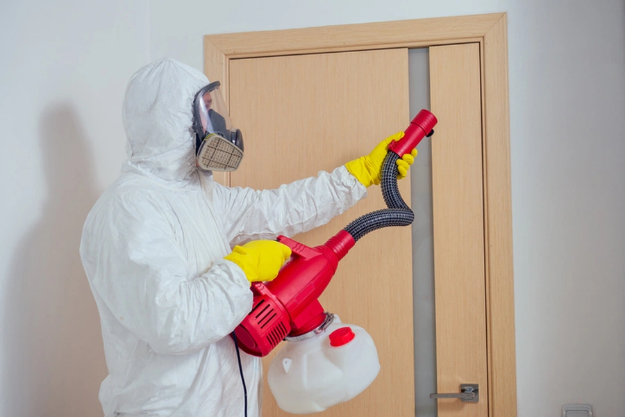 Signs Your Home Needs Immediate Bug Removal in Columbus, OH Signs Your Home Needs Immediate Bug Removal in Columbus, OH
