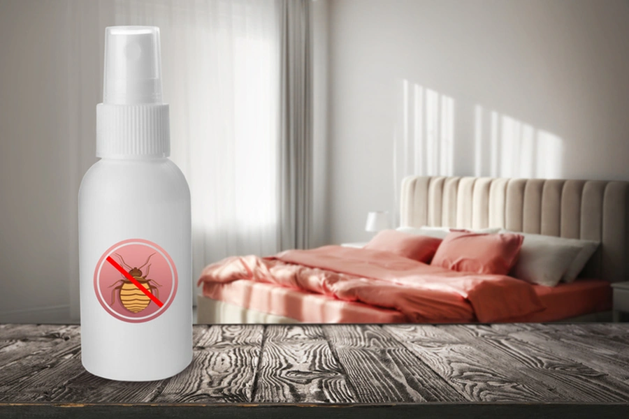 Steps To Take After A Bug Removal Service Columbus, OH