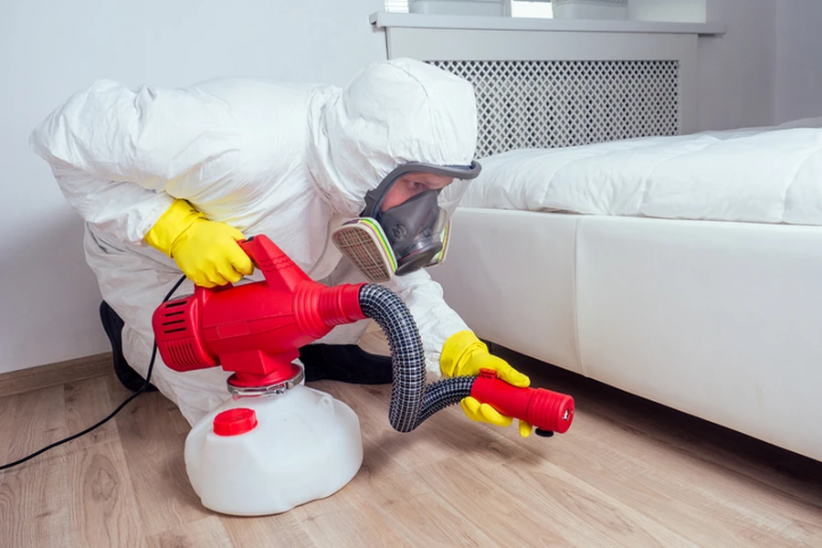 Steps To Take After A Bug Removal Service in Columbus, OH