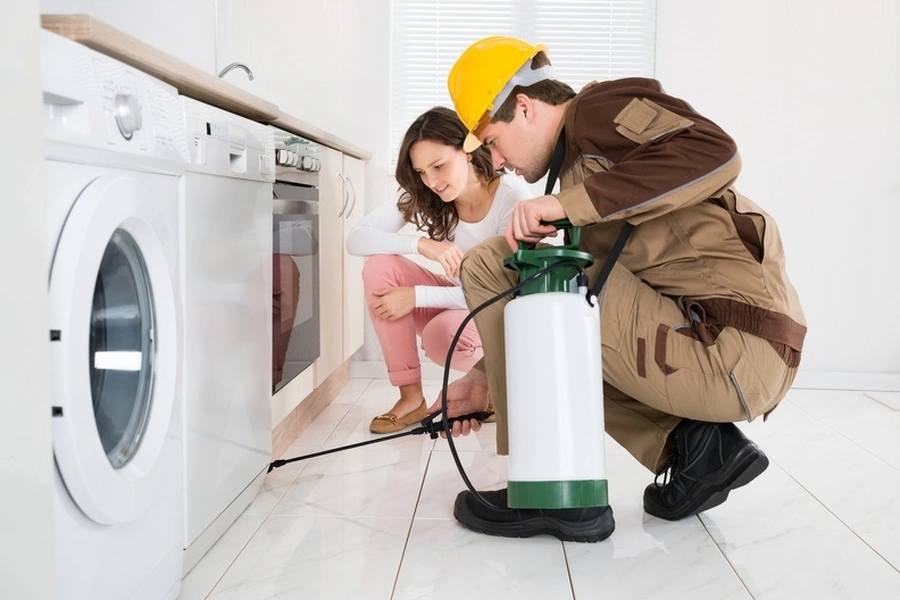 Why Spiders Return Without Proper Pest Treatment Columbus, OH Why Spiders Return Without Proper Pest Treatment Columbus, OH