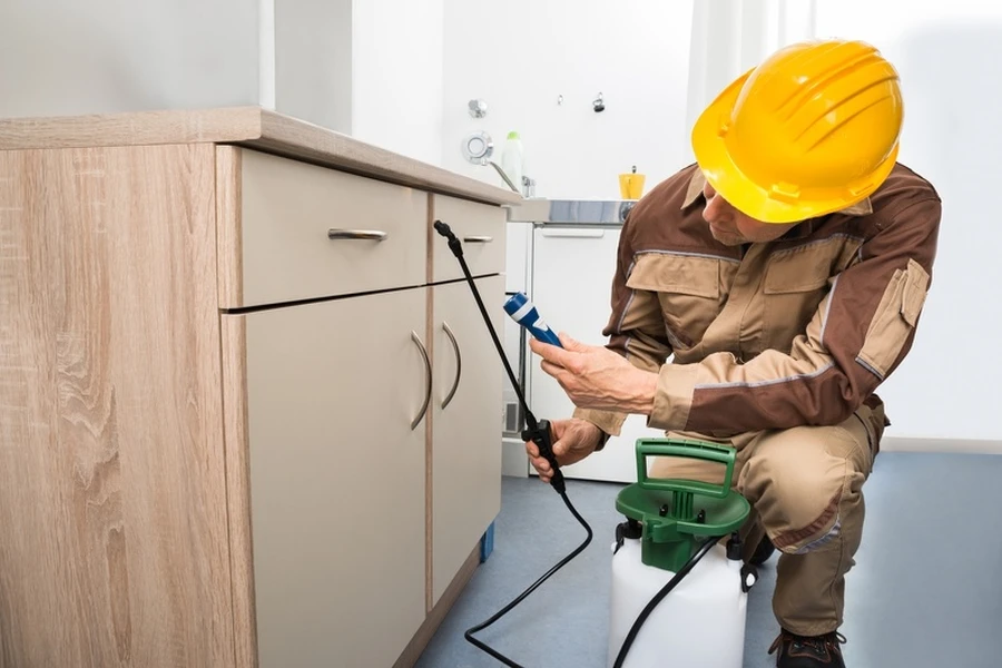 Why Spiders Return Without Proper Pest Treatment in Columbus, OH Why Spiders Return Without Proper Pest Treatment in Columbus, OH